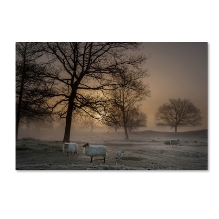 Piet Haaksma 'Foggy Morning' Canvas Art,16x24